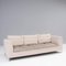 Cream and Brown Feng 3-Seater Sofa by Didier Gomez for Ligne Roset 3