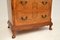 Antique Burr Walnut Cabinet Chest of Drawers 6