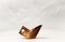 Teiera e zuccheriera in ceramica smaltata di Roberto Rigon per Bertoncello Art Ceramics, Italia, anni '60, set di 2, Immagine 19