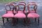 Mahogany Pink Balloon Back Dining Chairs, 1960s, Set of 6 1
