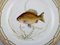 Hand-Painted Porcelain Fauna Danica Fish Plate from Royal Copenhagen 2