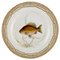Hand-Painted Porcelain Fauna Danica Fish Plate from Royal Copenhagen, Image 1
