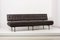 Knoll International zugeschriebenes Custom Sofa, Deutschland, 1950er 2