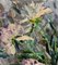 Georgij Moroz, peonías, siglo XX, óleo sobre lienzo, enmarcado, Imagen 5