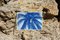 Coconut Palm Tree, 2021, Print, Image 5