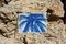 Impresión de palmera de coco, 2021, Imagen 5