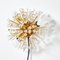 Snowflake Wall Fixture by Emil Stejnar for Rupert Nikoll, Image 1