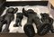 Kaws, figuras familiares, versión en negro, 2021, vinilo fundido pintado, Imagen 5