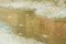 Palau Junca, Pittura impressionista con fiume e chalet, olio su tela, con cornice, Immagine 8