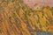 Magi Oliver Bosch, Impressionistische Landschaft, Öl auf Leinwand, Gerahmt 10