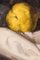 Victor Lahorra, Still Life with Quinces, Oil on Canvas 5