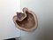 Orso bruno in ceramica di Daniele Nannini, Immagine 6