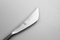 Model 2070 Steak Knife by Helmut Alder for Amboss, 1950s, Set of 12 2