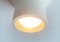 Space Age Minimalist Tulip Ceiling Lamp 2