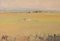 Golden Fields in La Pineda, Catalonia, Oil on Canvas, Framed 2