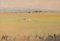 Golden Fields in La Pineda, Catalonia, Oil on Canvas, Framed, Image 2