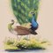 Peacock Paintings, 20th-Century, Gouache on Paper, Set of 2 4