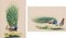 Peacock Paintings, 20th-Century, Gouache on Paper, Set of 2, Image 3