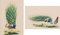 Peintures Paon, 20ème-Century, Gouache sur Papier, Set de 2 3