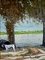 Ricard Noé, Delta dell'Ebro, olio su tela, con cornice, Immagine 2