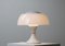 Ecolight Table Lamp by Gaetano Sciolari, 1960s 2