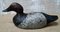 Hand Carved Wood Decoy Duck, Image 1