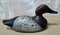 Hand Carved Wood Decoy Duck 2