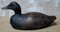 Hand Carved Wood Decoy Duck, Image 4