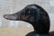 Hand Carved Wood Decoy Duck 6