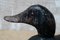 Hand Carved Wood Decoy Duck, Image 6