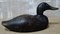 Hand Carved Wood Decoy Duck 3