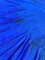 Patrick Coussot Bex, Blue Circle 2, 2021, acrilico su tela, Immagine 4