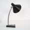 Desk Lamp from Hala, Netherlands, 1950s 11