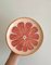 Fruit Collection Pink Grapefruit Plates by Federica Massimi, Set of 4 4