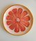 Fruit Collection Pink Grapefruit Plates by Federica Massimi, Set of 4 1