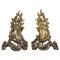 French Louis XV Style Bronze and Iron Firedogs, Set of 2, Image 1