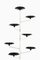 Albero Plant Stand by Achille Castiglioni for Zanotta, Italy 2