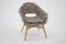 Shell Lounge Chair from Miroslav Navratil, Czechoslovakia, 1960s, Image 2