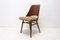 Mid-Century Dining Chairs by Radomír Hofman for TON, Czechoslovakia, 1960s, Set of 2, Image 12