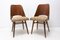 Mid-Century Dining Chairs by Radomír Hofman for TON, Czechoslovakia, 1960s, Set of 2 2