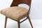 Mid-Century Dining Chairs by Radomír Hofman for TON, Czechoslovakia, 1960s, Set of 2, Image 14