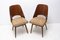 Mid-Century Dining Chairs by Radomír Hofman for TON, Czechoslovakia, 1960s, Set of 2 3