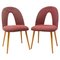 Mid-Century Dinning Chairs by Antonín Šuman for Tatra Nábytok, Set of 2, Image 1