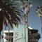 Slim Aarons, Beverly Hills Hotel, 20th-Century, Photograph on Paper 4