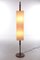 Vintage French Floor Lamp with Switch, 1960s 2