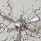 Sputnik Floor Lamp by Gaetano Sciolari for Sciolari, 1970s, Image 5