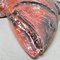 Animal marino de cerámica esmaltada, Imagen 2
