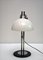 Glass and Metal Table Lamp by Zonca, 1970s 4