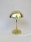 Brass Table Lamps from Hillebrand Lighting, 1960s, Set of 2 14