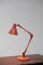 Desk Lamp from Stilnovo 8